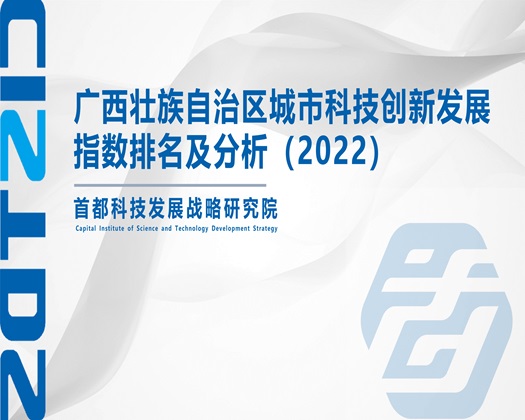 抠屄流水【成果发布】广西壮族自治区城市科技创新发展指数排名及分析（2022）